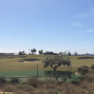 Seamill Investments Gallery 1