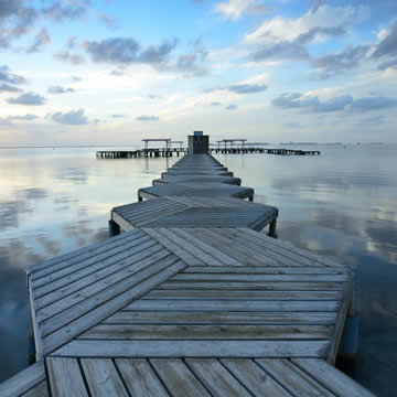 Seamill Investments Gallery 9