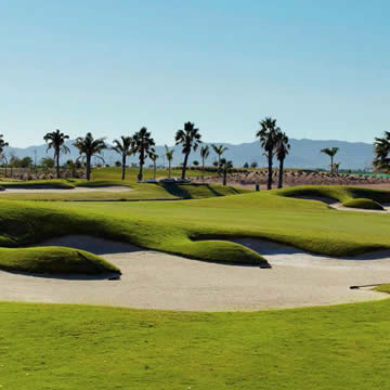 Seamill Investments Gallery 14